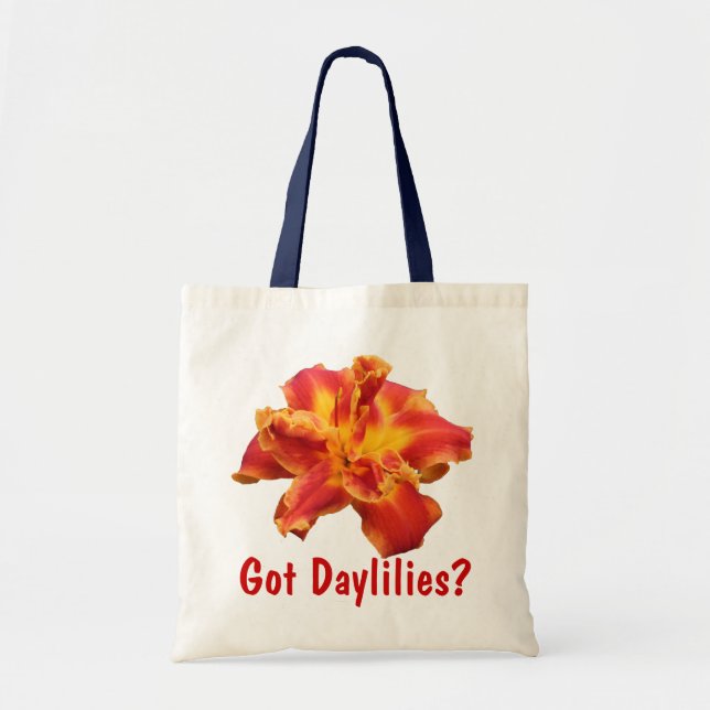 TOTE HEMEROCALLIS OBTIDOS? O BOLSA (Frente)