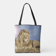 Leão no bolsa do safari
