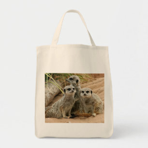 Tote Meerkats no bolsa orgânico da vigia