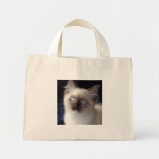 Tote Mini Bolsa