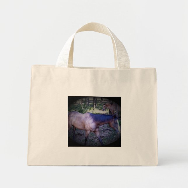 Tote Mini Bolsa de Cavalo 2 (Frente)