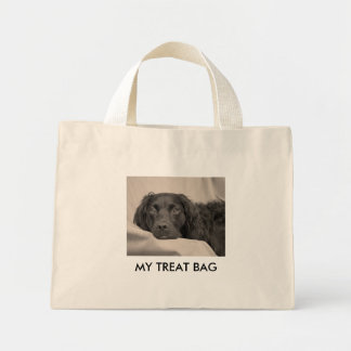Tote Mini Minha bolsa de tratamento