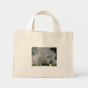 Tote Mini Orquídeas brancas em um bolsa de orçamento