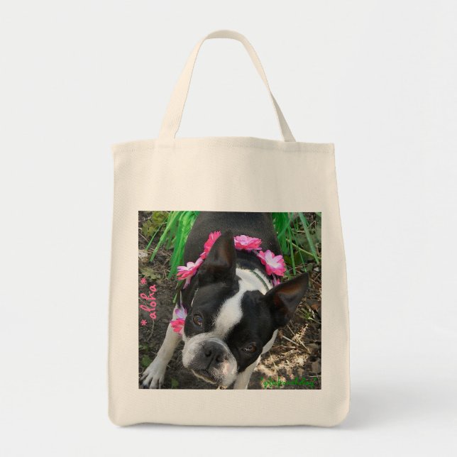 Tote o bolsa a favor do meio ambiente do mantimento do (Frente)