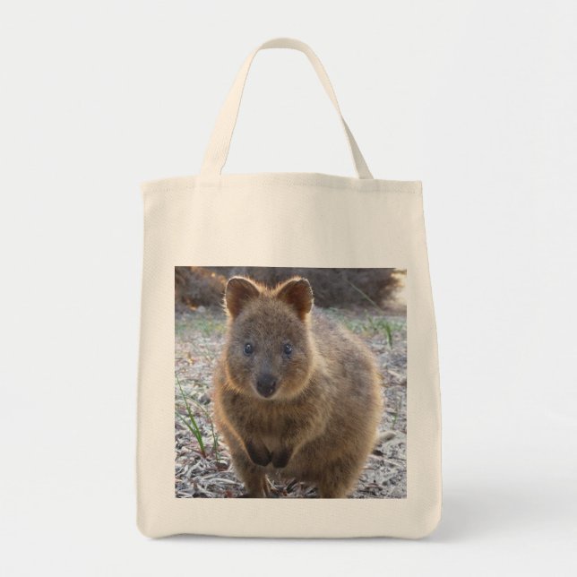 Tote O bolsa adorável do mantimento (Frente)
