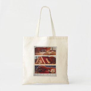 Tote O bolsa da semana de livro de 1992 crianças