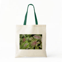 O bolsa de Gingerland do Caladium