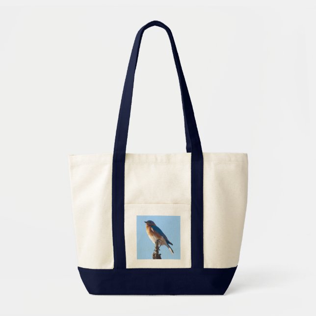 Tote O bolsa do bolso do Bluebird (Frente)