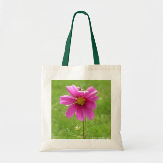 Tote O bolsa do cosmos