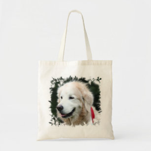 Tote O bolsa do orçamento de CHO CHO