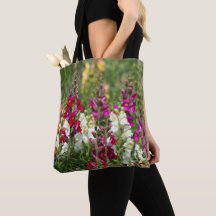 O bolsa não gosta de cada outro