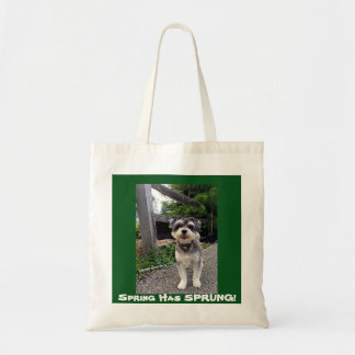 Tote O primavera do *NEW* 2015 SALTOU! O bolsa de