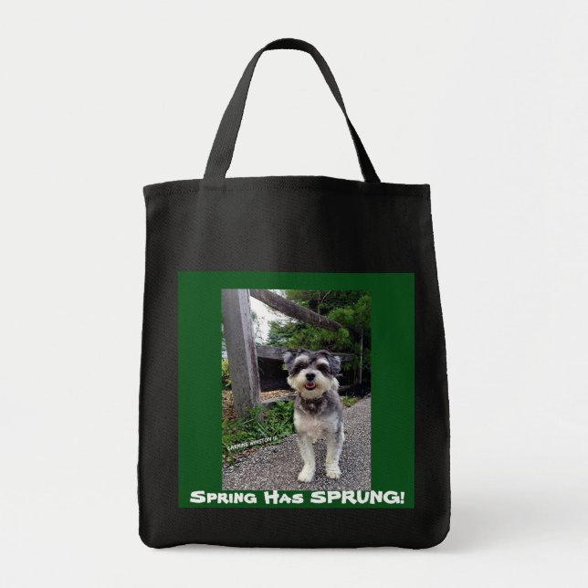 Tote O primavera do *NEW* 2015 SALTOU! O bolsa de (Frente)