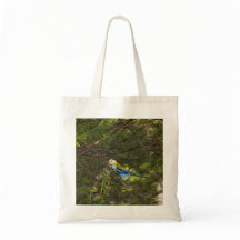 Pale Headed Rosella Bolsa