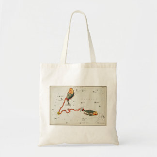 Tote Peixes para a bolsa