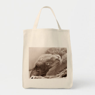 Tote Prateie o bolsa do mantimento do gato