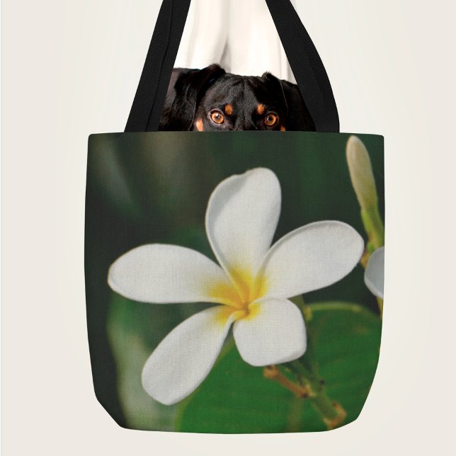 Tote Serviço de Bolsa de laptop de Impressão de Tela de (Criador carregado)
