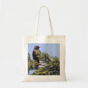 Tote Starling em uma bolsa de árvore do Spruce