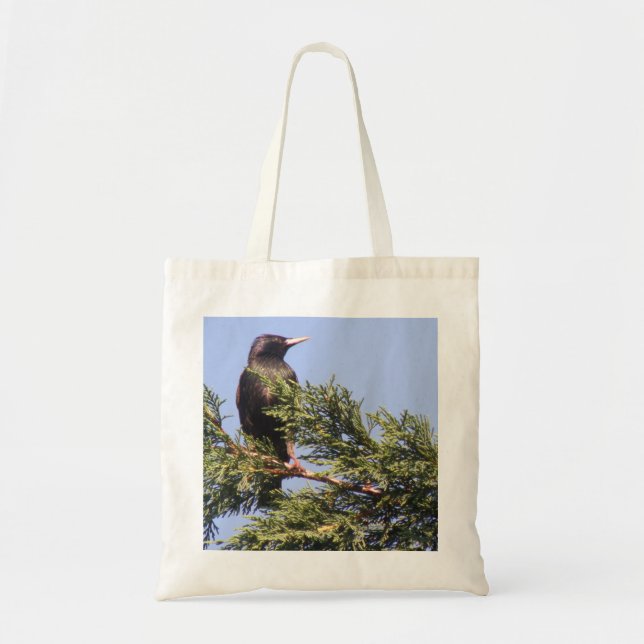 Tote Starling em uma bolsa de árvore do Spruce (Frente)