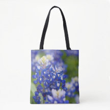 Texas Bluebonnets na bolsa florescente