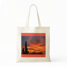 Um cacto sahuaro com bolsa de pôr do sol espantoso