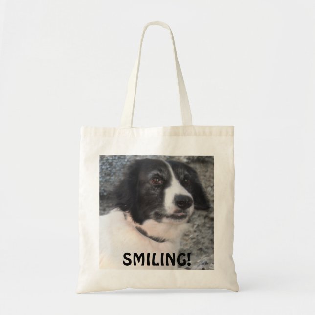 Tote Visita ao Castelo Sprollie Bolsa Sorriso (Frente)