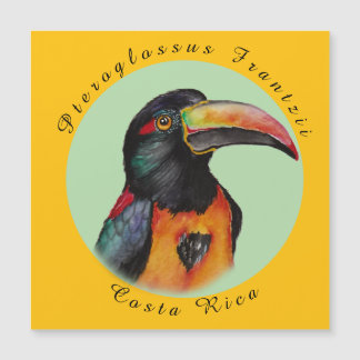 Toucador de aquarela