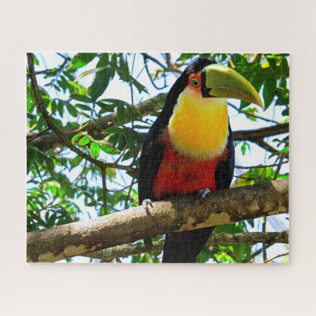 Toucan Bird Quebra-cabeça (Horizontal)
