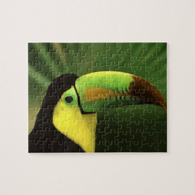 Toucan Bird Quebra-cabeça (Horizontal)