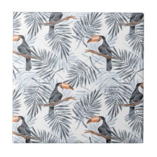 Toucan cinzento