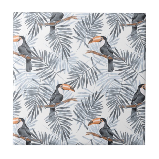 Toucan cinzento (Frente)