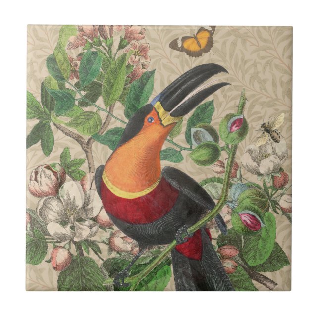 Toucan Jungle Tropical Bird Beauful Antiguidade (Frente)
