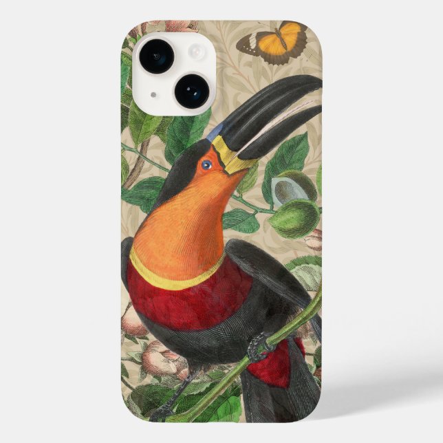 Toucan Jungle Tropical Bird Beauful Antiguidade (Verso)