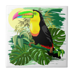 Toucan na floresta húmida verde de Amazónia