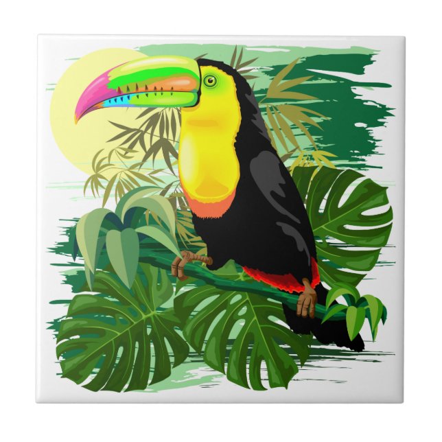 Toucan na floresta húmida verde de Amazónia (Frente)