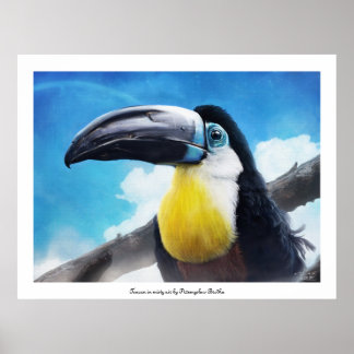 Toucan no poster de ar névoo