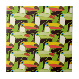 Toucans colorido