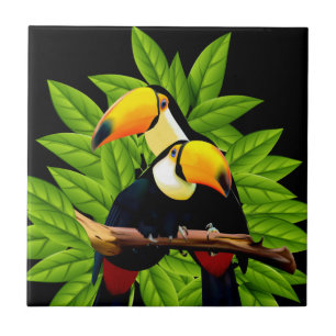 Toucans exóticos