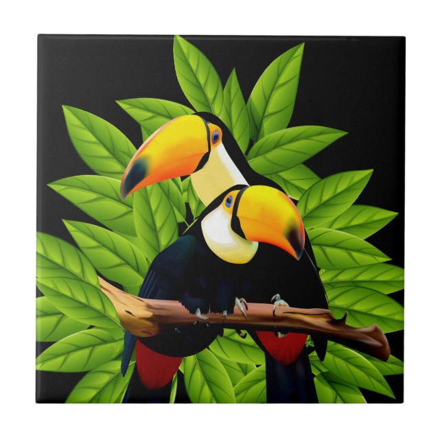 Toucans exóticos (Frente)