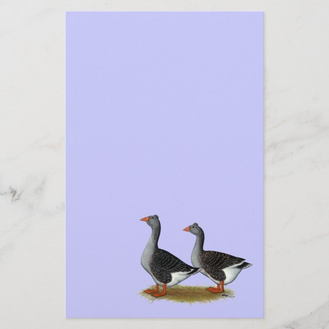 Toulouse Geese Tufted (Frente)