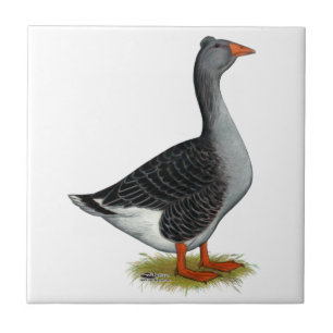 Toulouse Goose Tufted