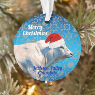 Touro Charolais no Enfeites de natal Santa Hat