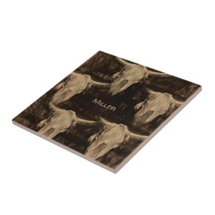 Touro Crânio Ocidental País Russo Marrom Sepia A