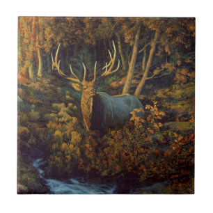Touro Elk na Floresta do outono