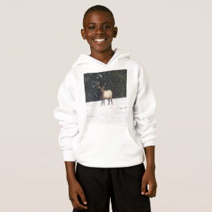 Touro Elk no inverno