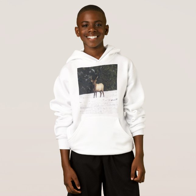 Touro Elk no inverno (Frente Completa)