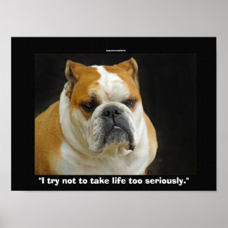 Touro Engraçado Cachorro Pet-amantes Poster demoti