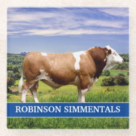 Touro Simmental em Pastura 