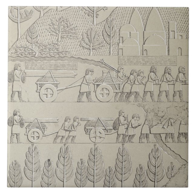 Trabalhadores com instrumentos e cordas para mover (Frente)