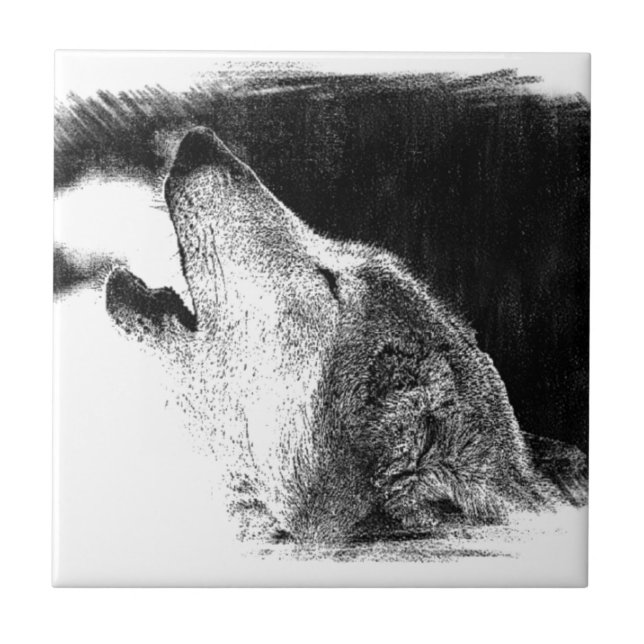 Trabalho de arte de desenho do lobo da Cinza branc (Frente)